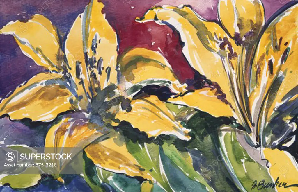 Two Daylilies, by John Bunker, watercolour painting, 1995, 20th Century