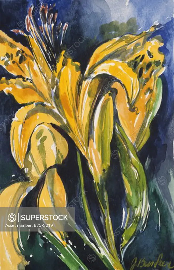 Daylily Upright, by John Bunker, watercolour painting, 1995, 20th Century