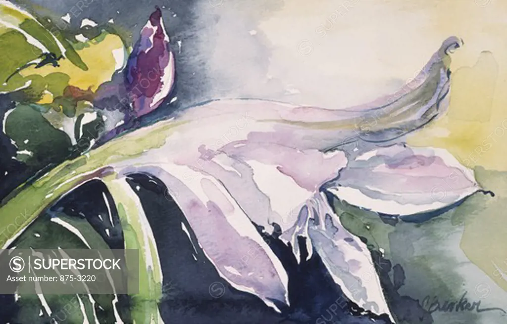 Soft Yard Lily I, by John Bunker, watercolour painting, 1995, 20th Century