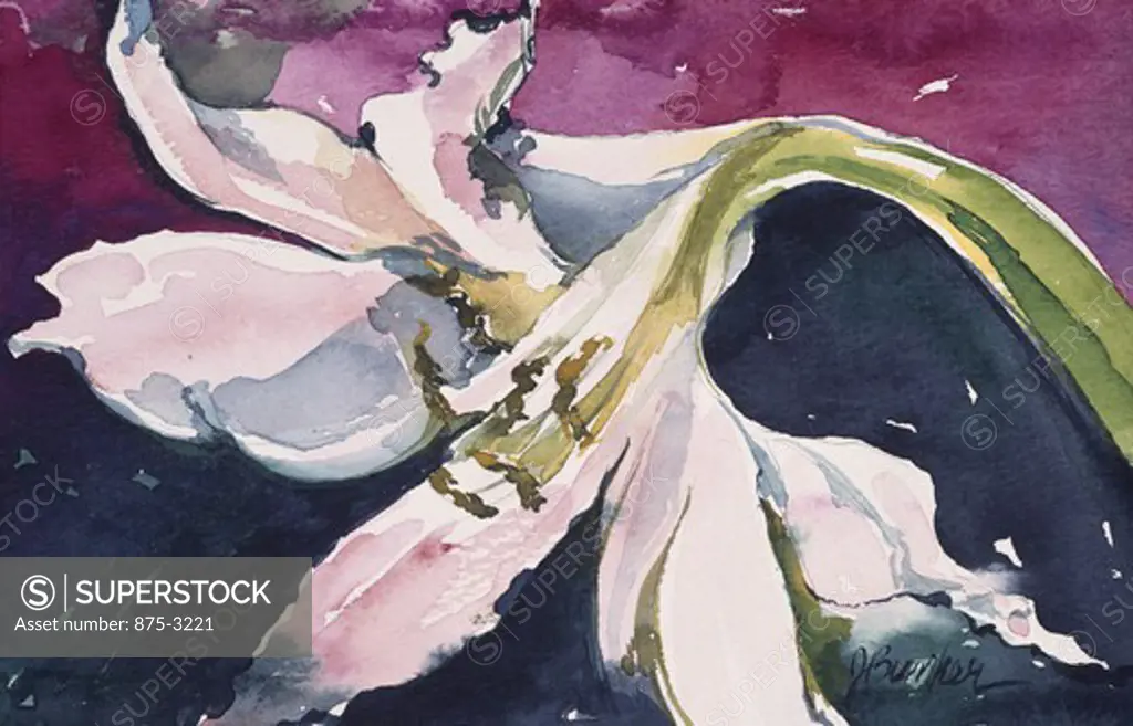 Lilies, by John Bunker, watercolour painting, 1995, 20th Century