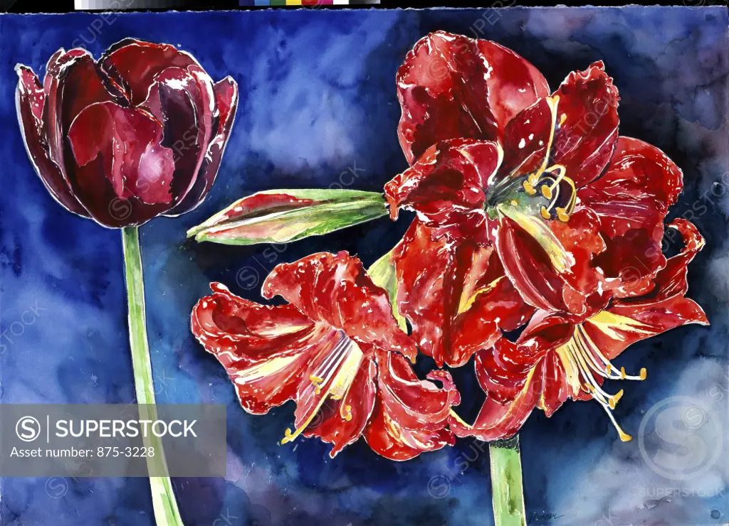 Tulip and Amaryllis, 1996, John Bunker (20th C. American), Watercolor