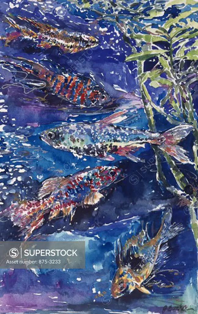 Tropical Fish I by John Bunker, watercolor and metallics, 1996