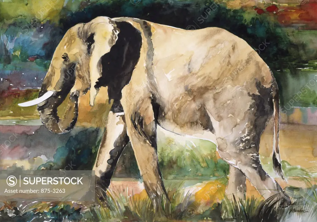 Africa, Kenya, Safari, Elephant by John Bunker, watercolor, 1996