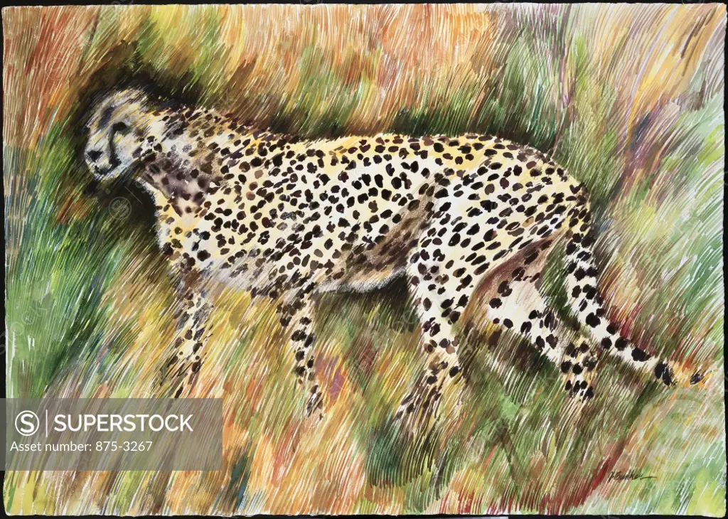 Kenya Safari - Cheetah in the Grass, 1996, John Bunker (20th C./American), Watercolor