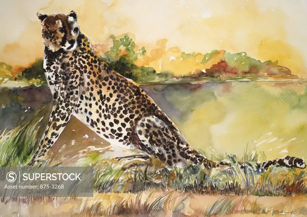 Africa, Kenya, Safari, Cheetah II by John Bunker, watercolor, 1996