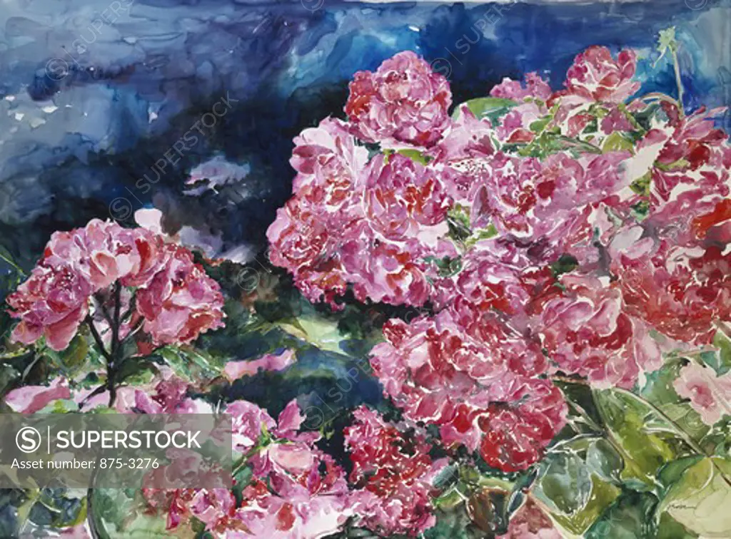 Roses of Giverny by John Bunker, watercolor, 1996
