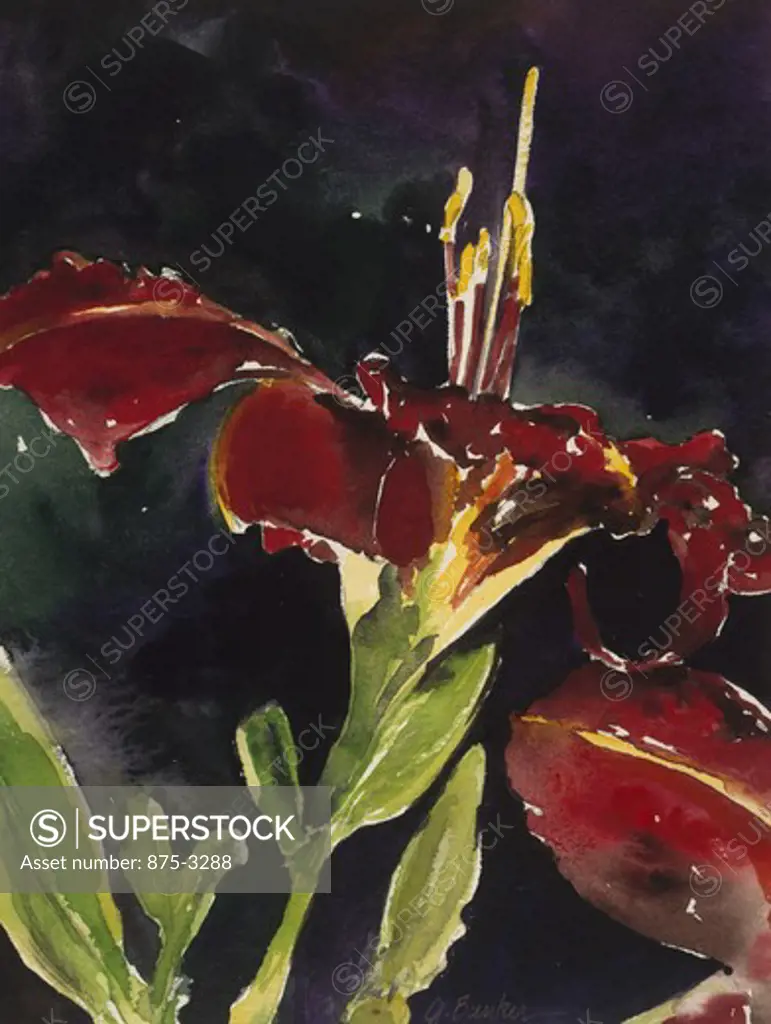 Rusted Day Lily by John Bunker, watercolor on paper, 1997