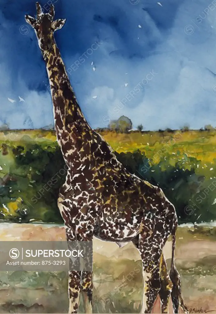 Africa, Kenya, Safari, Masai Giraffe by John Bunker, watercolor on paper, 1997