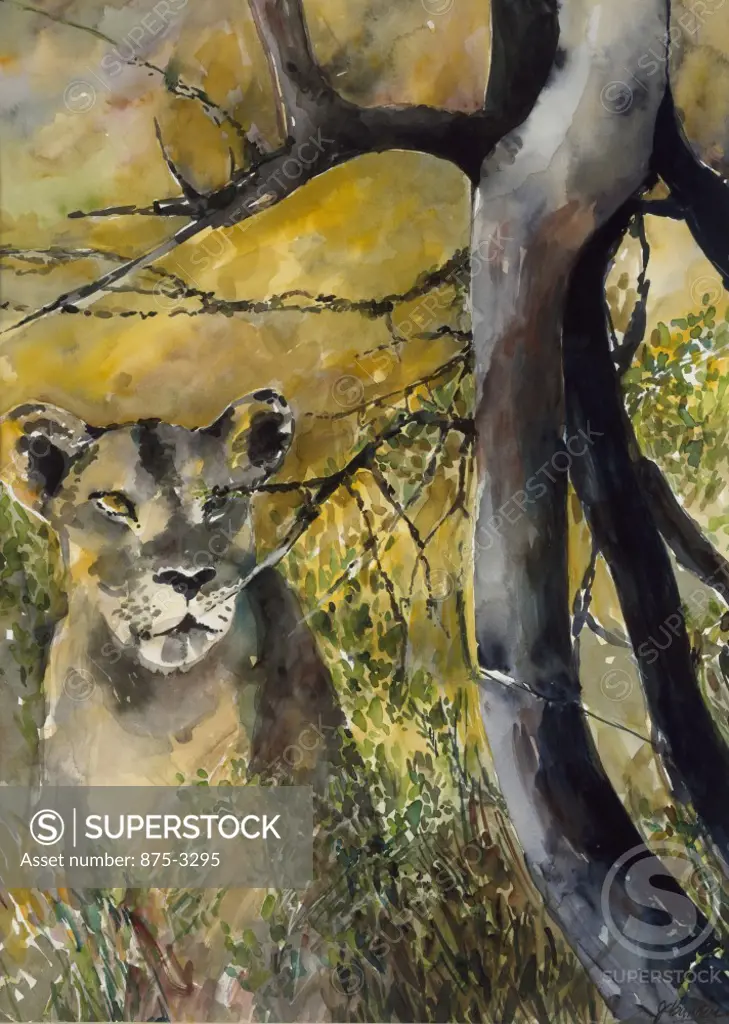 Africa, Kenya, Safari, Lioness by John Bunker, watercolor on paper, 1997