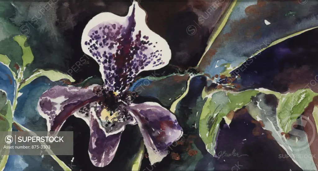 Paper Orchid, by John Bunker, watercolour and metallics, 1997, 20th Century