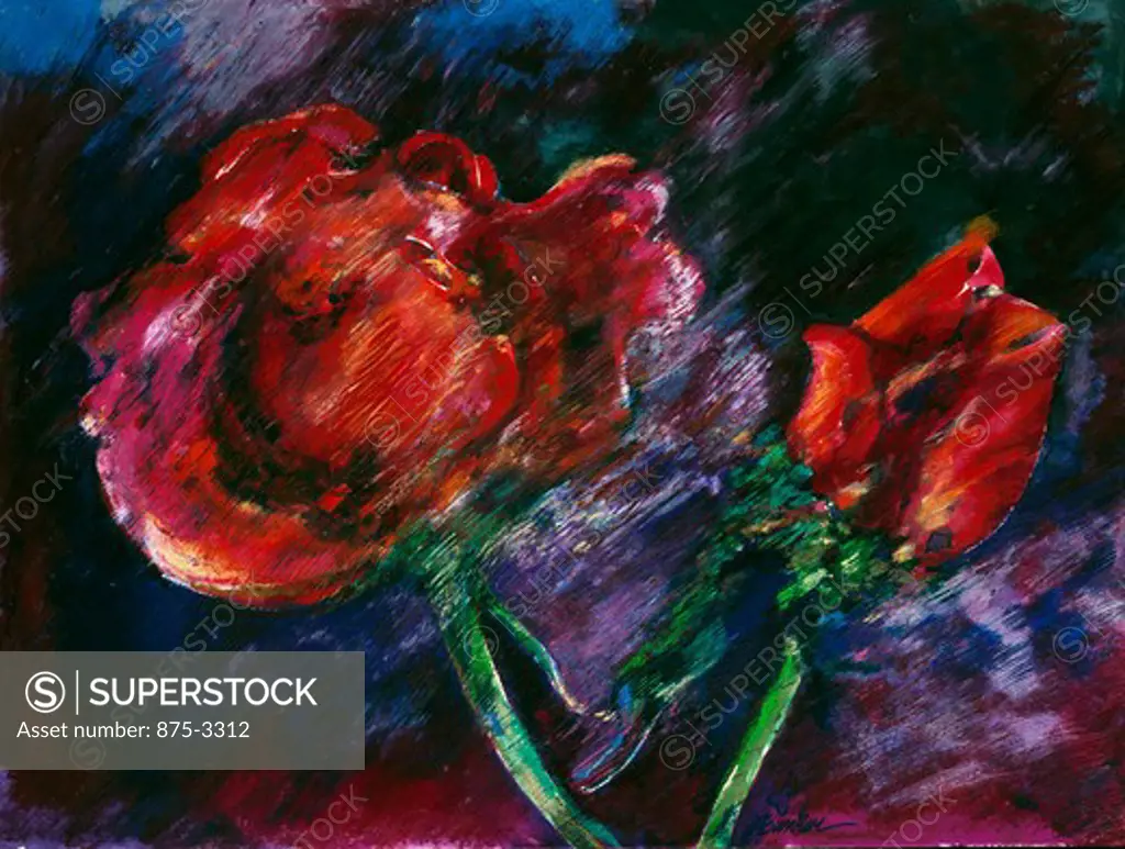 Red rose passion by John Bunker, watercolor and oil pastel, 1997