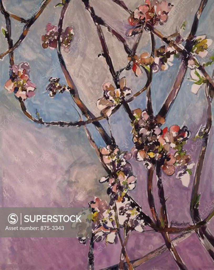 Spring Blossom Web by John Bunker, watercolor and acrylic, 1998