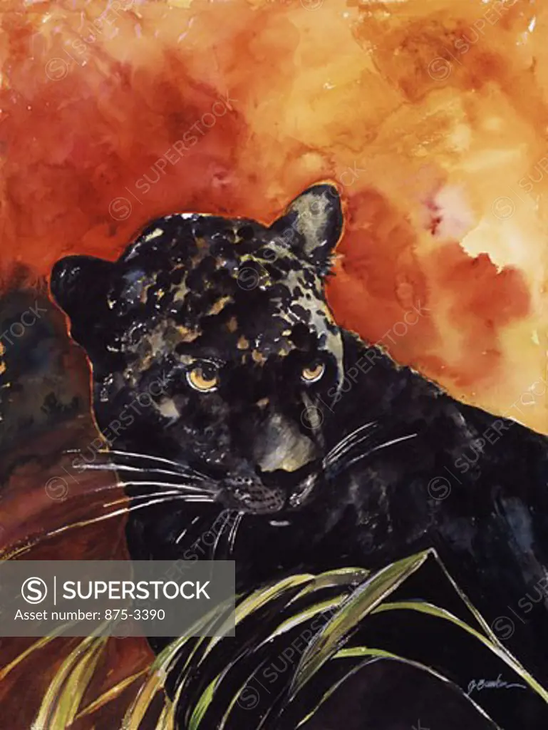 Black Jaguar Portrait, 2000, John Bunker (20th C./American), Watercolor