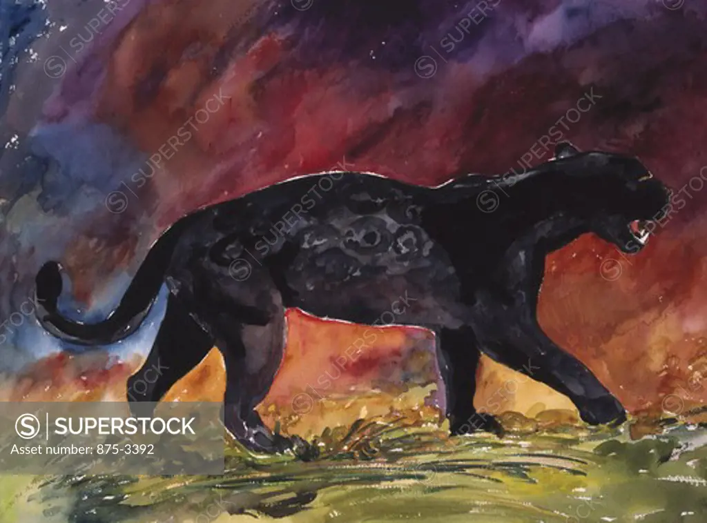 Black Jaguar Walking, by John Bunker, watercolour painting, 2000, 20th Century