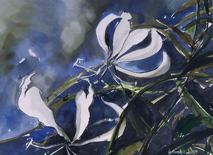 Glorisa Lily by John Bunker, watercolor
