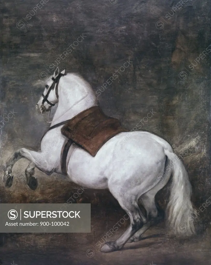 A White Horse ca. 1634-35 Diego Velazquez (1599-1660 Spanish) Oil on canvas Palacio Real, Madrid, Spain