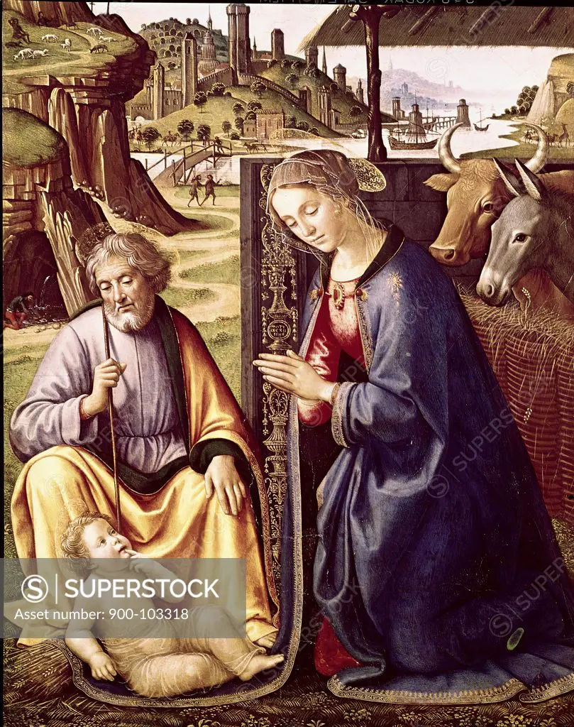 The Birth of Christ Sebastiano Mainardi (ca. 1460-1513 Italian)