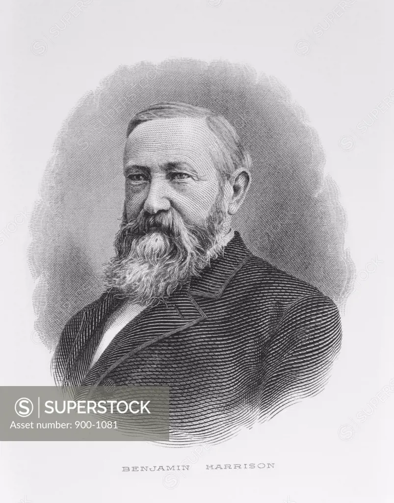 Benjamin Harrison 23rd President of the United States (1833-1901) American History Engraving