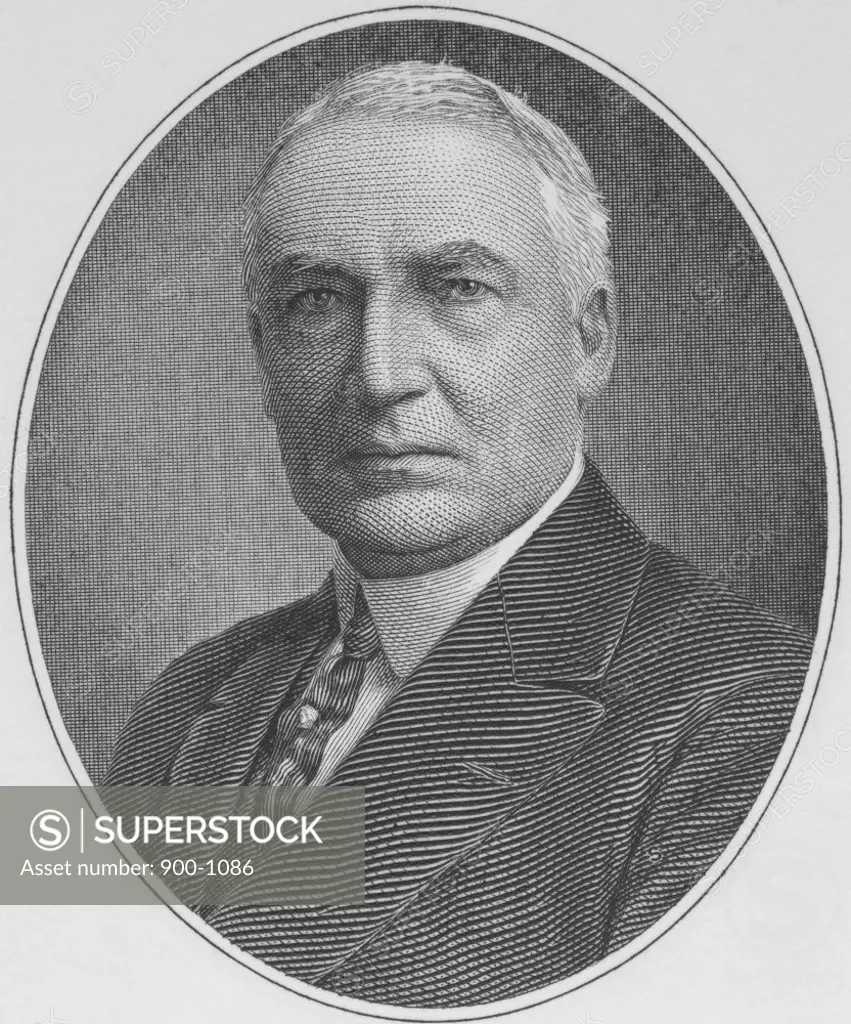 Warren Harding  (1865-1923)  29th President of the United States   Engraving