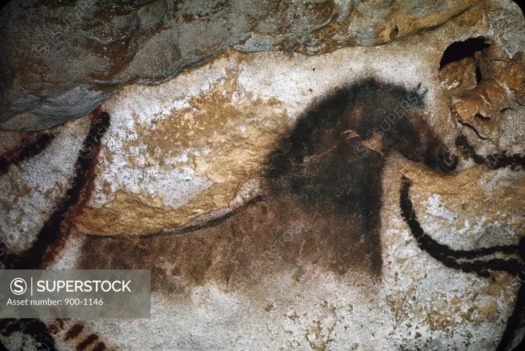 Uncompleted Horse Lascaux Caves France