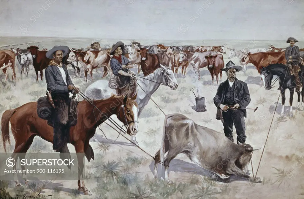 Branding a Steer Frederic Remington (1861-1909 American)