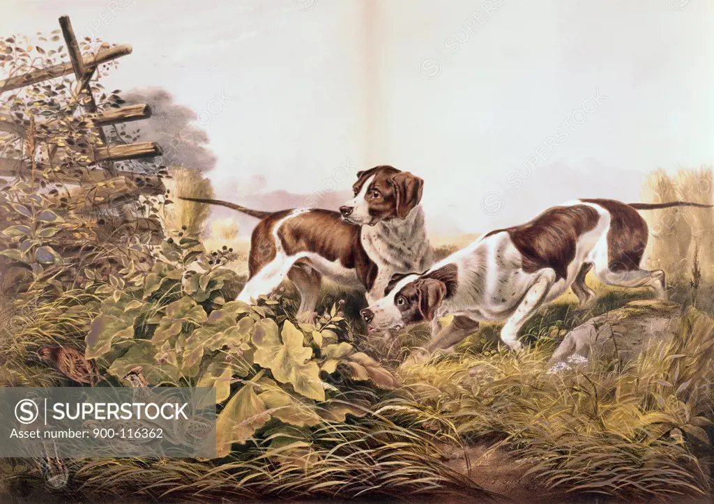 American Field Sports " On a Point " 1857 Currier & Ives (1834-1907 American) Color lithograph 