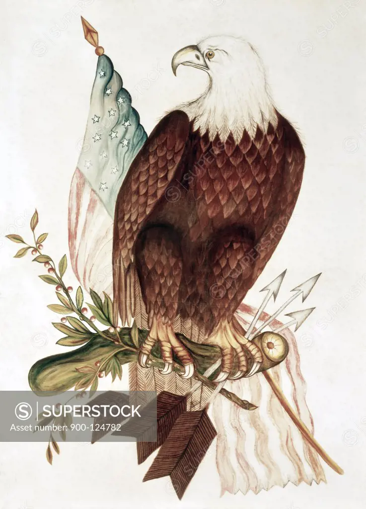 Bald Eagle With American Flag 19th Century Naive Art Nostalgia Cards Illustration