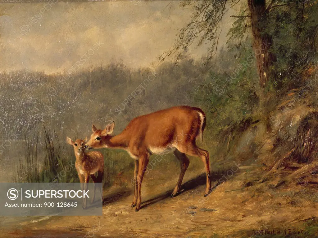 Doe and Fawn at the Edge of the Lake by Arthur Fitzwilliam Tait, (1819-1905)
