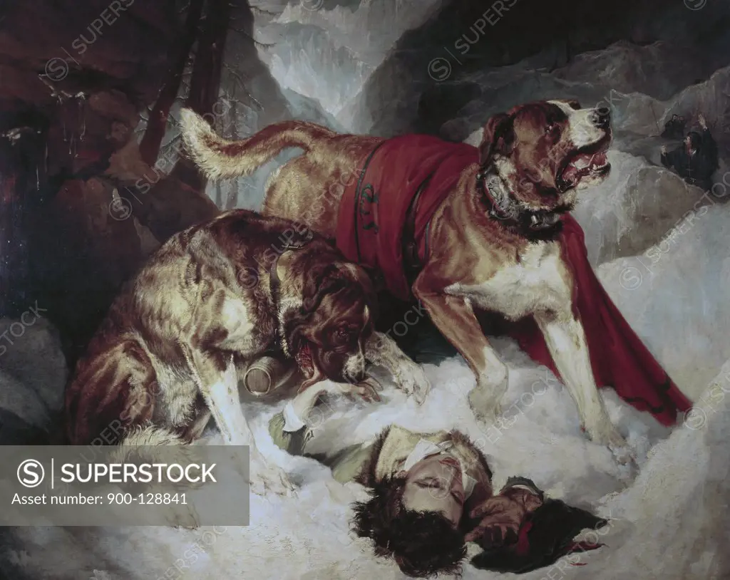 Alpine Mastiffs Reanimating A Distressed Traveller Edwin Henry Landseer (1802-1873 British)