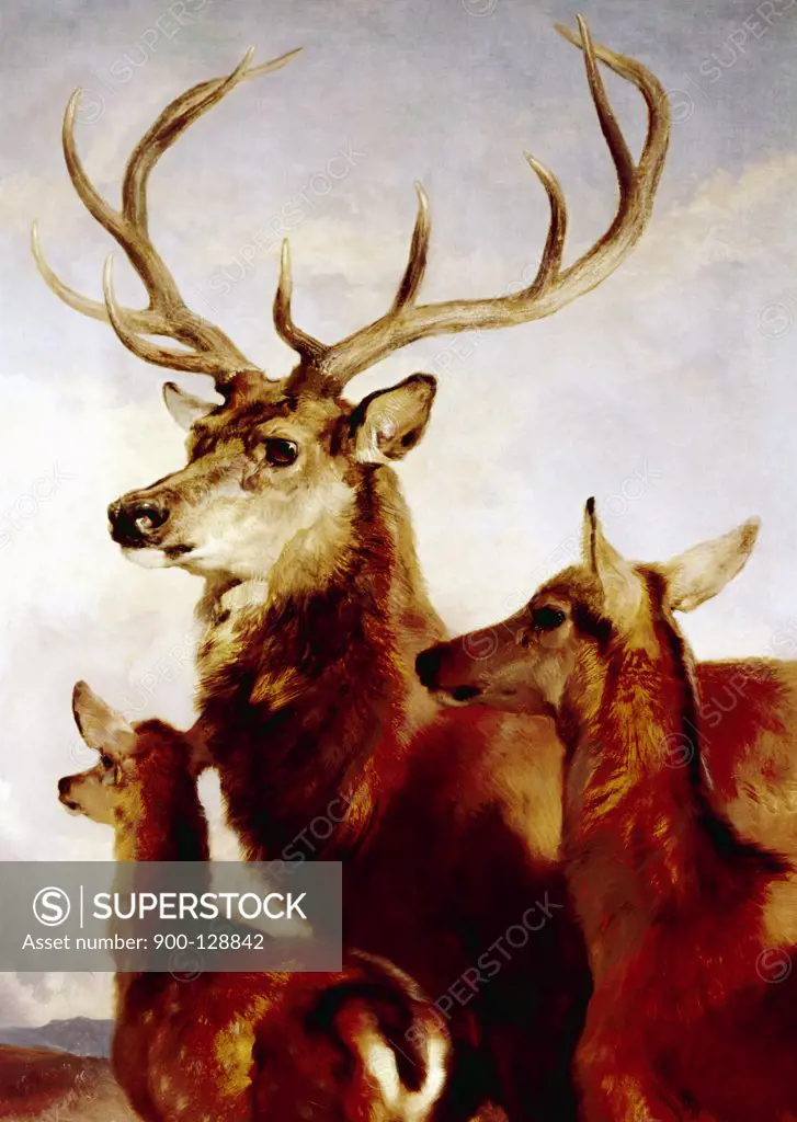 Deer, male, female and young, portrait, painted image