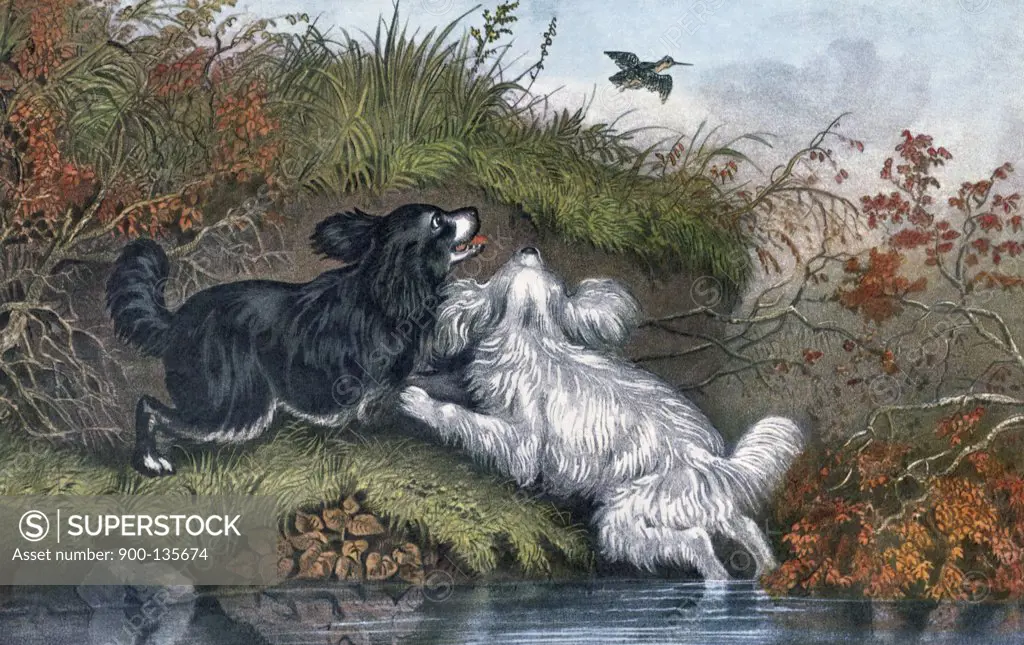 Flushing Woodcock by Currier and Ives, painting