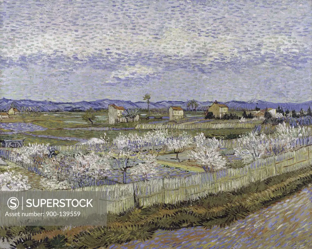 La Crau with Peach Trees in Bloom 1889 Vincent van Gogh (1853-1890/Dutch) Oil on Canvas Courtauld Institute and Galleries, London, England