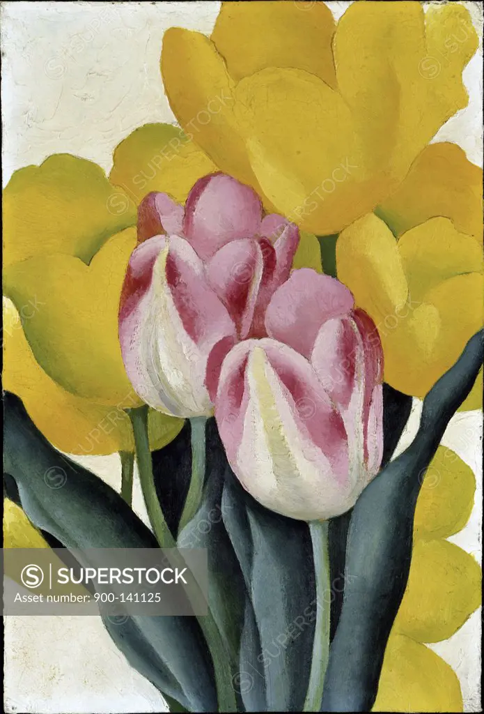 Tulips: Pink and Yellow by Georgia O'Keeffe, oil on cardboard, 1887-1986