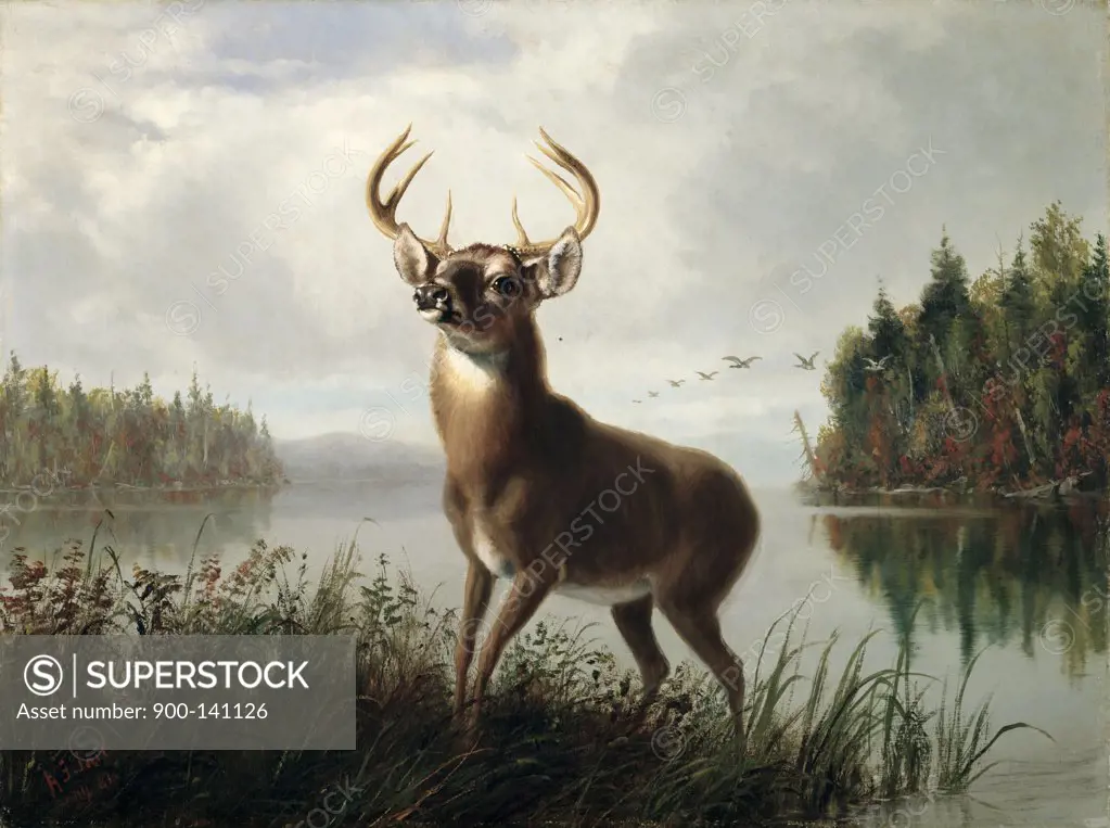 Eight Point Stag Arthur Fitzwilliam Tait (1819-1905  American)