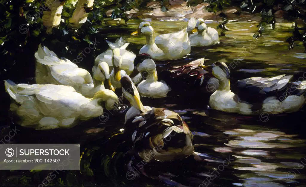 Ducks on the Pond Alexander Max Koester (1864-1932 German)