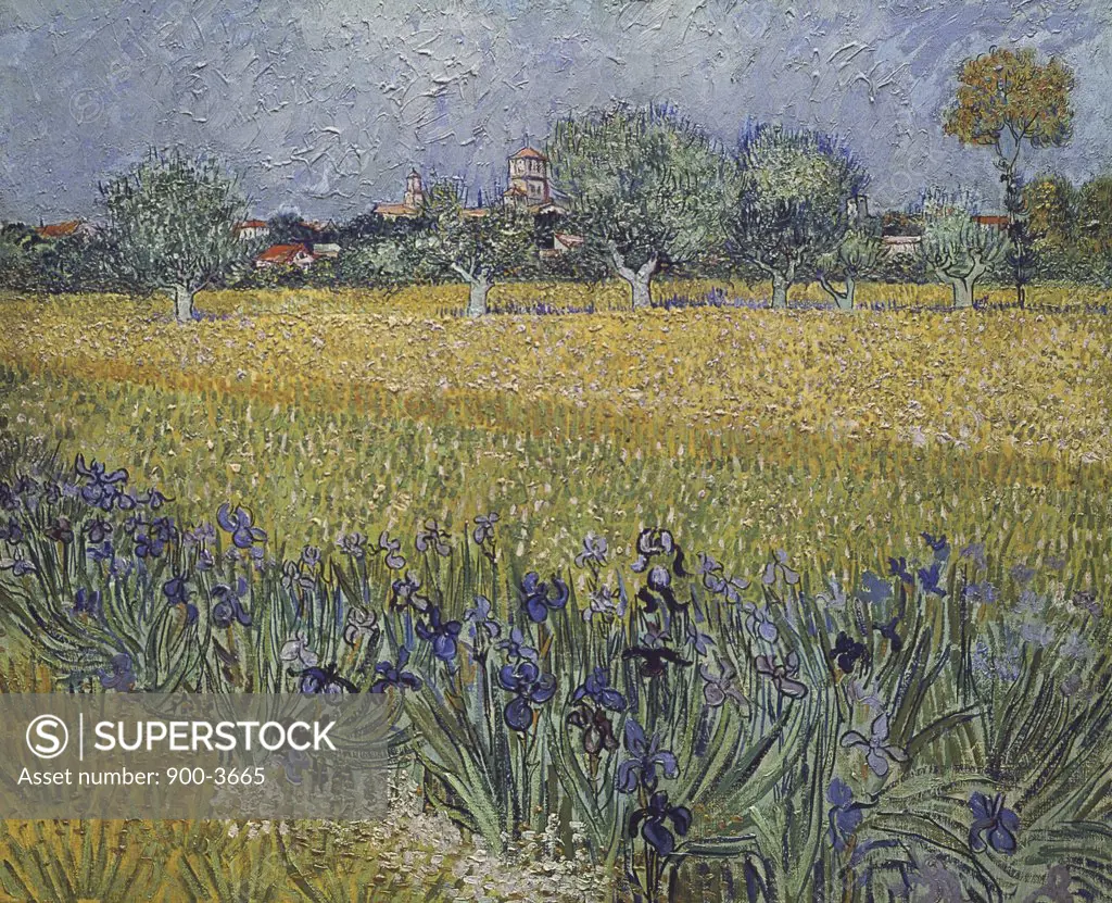 View of Arles with Irises 1888 Vincent van Gogh (1853-1890/Dutch) Oil on Canvas Van Gogh Museum, Amsterdam, Netherlands