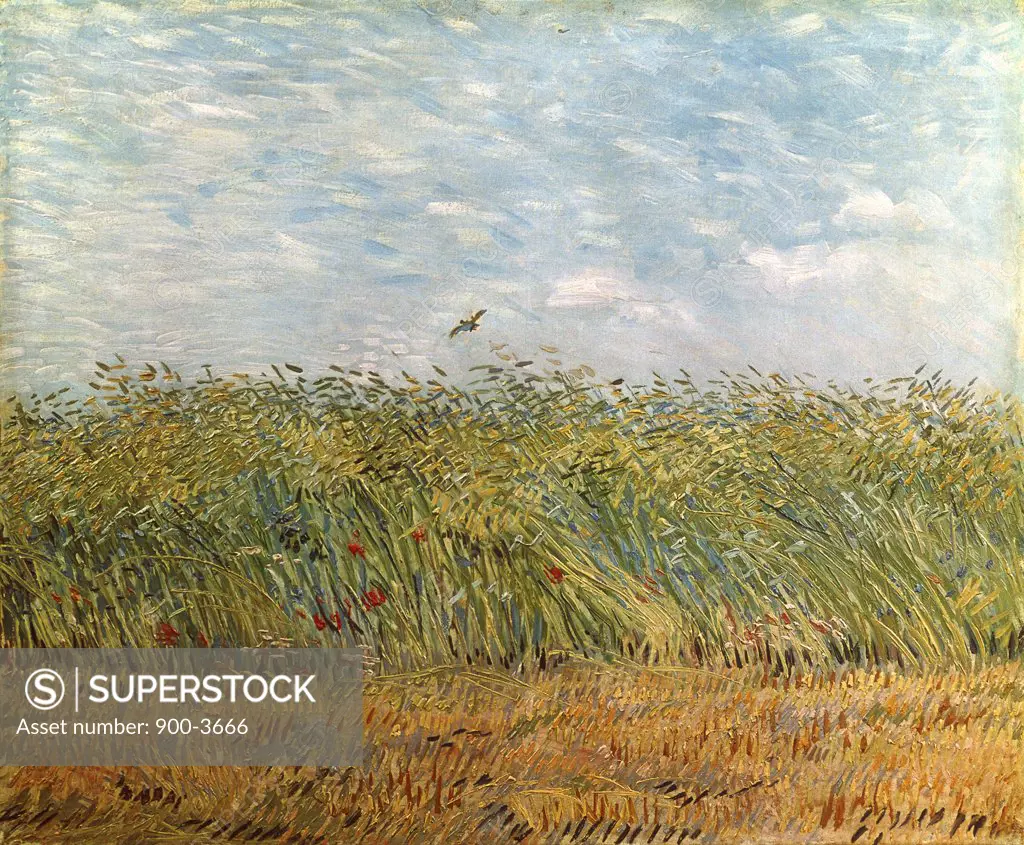 Wheat Field with a Lark  1887 Vincent van Gogh (1853-1890 Dutch)  Van Gogh Museum, Amsterdam