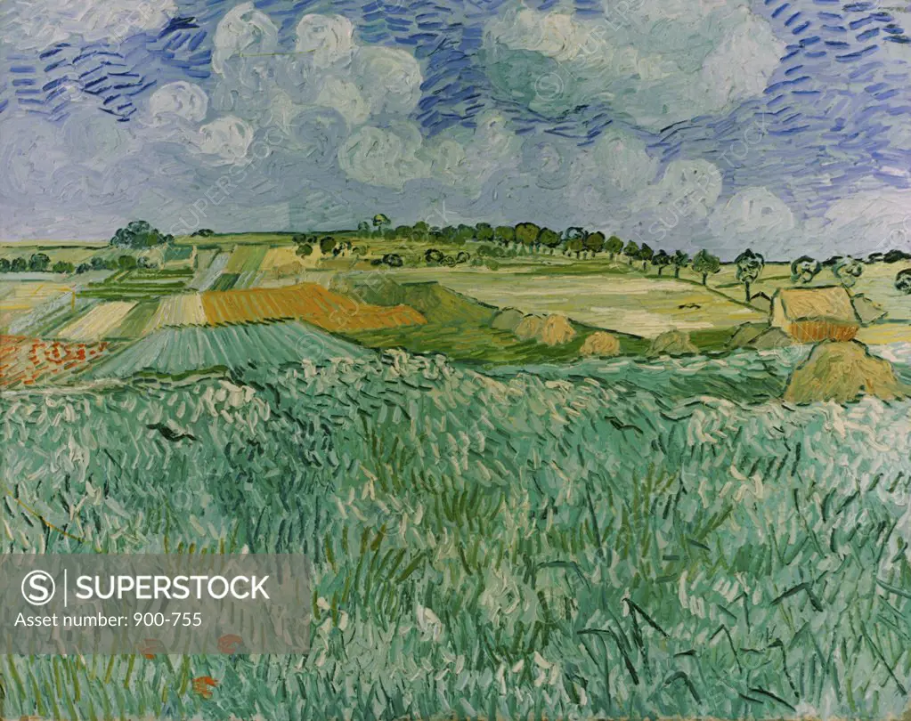 Plain Near Auvers 1890 Vincent van Gogh (1853-1890 Dutch) Oil on canvas Neue Pinakothek, Munich, Germany