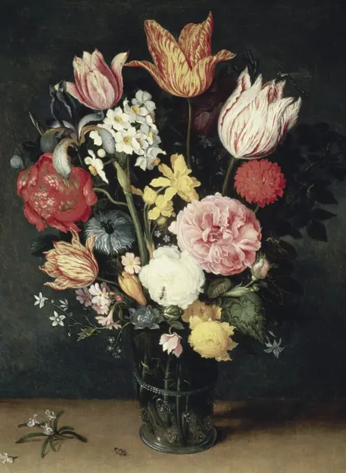 Tulips, Roses and other Flowers in a Glass  Balthasar van der Ast (1593-1654/Dutch)  