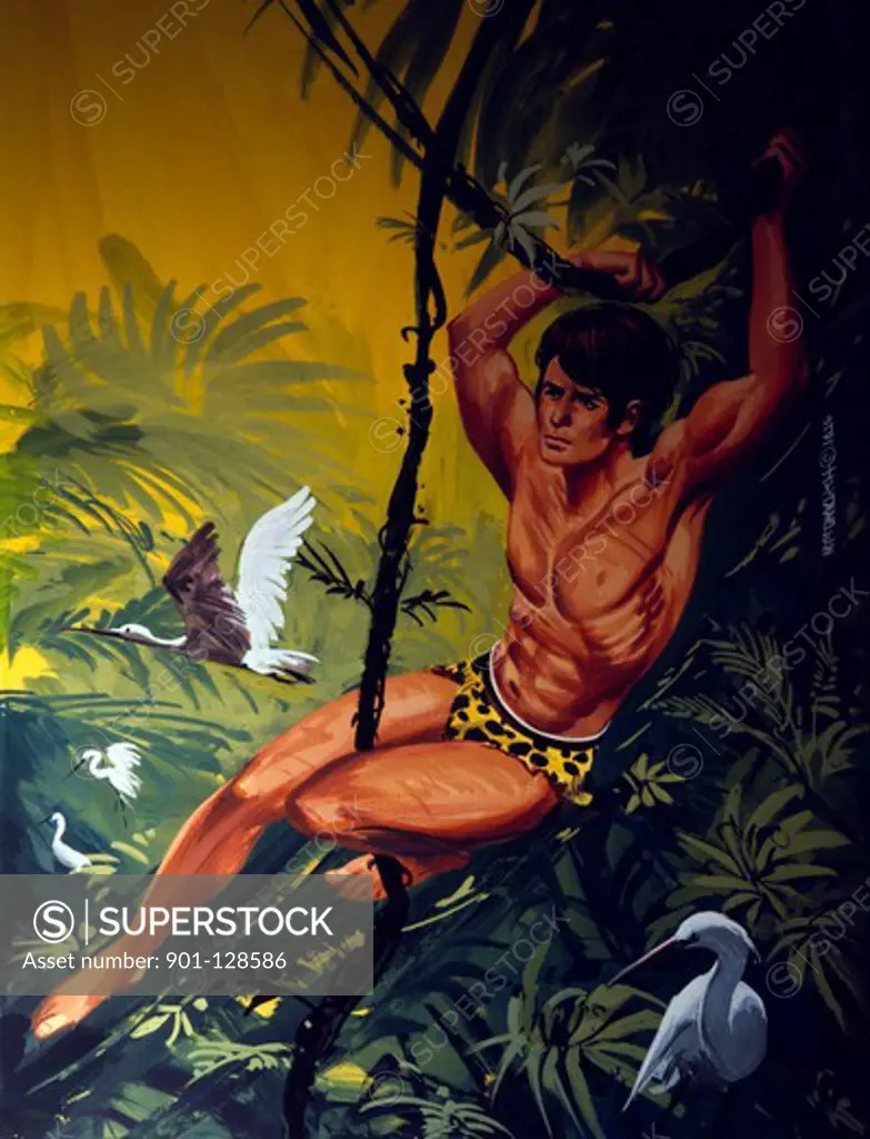 Tarzan swinging on liana, illustration