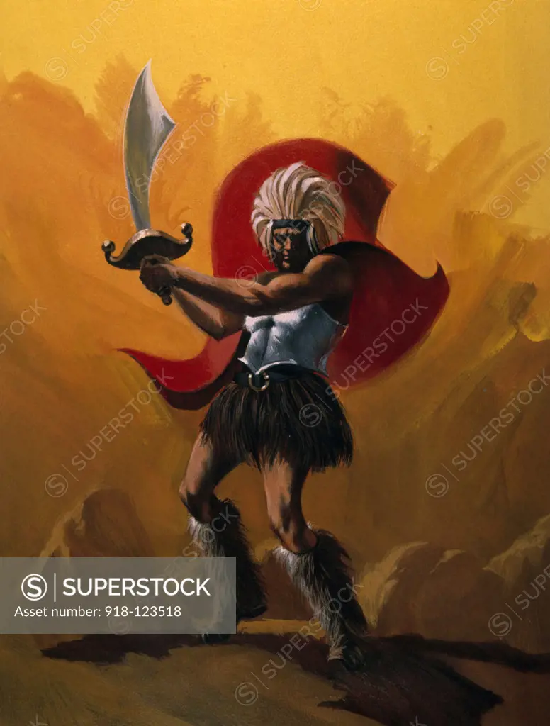 Warrior with sword, illustration