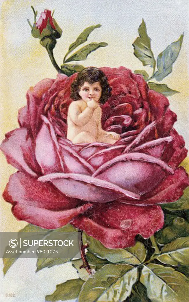 Child in a Rose Nostalgia Cards