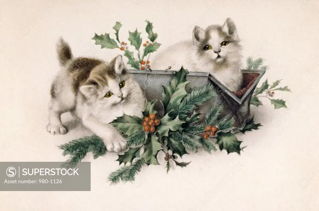 Kittens with Holly, Nostalgia Cards