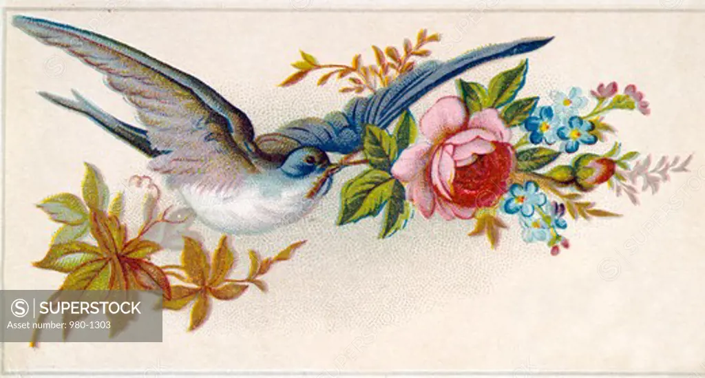 Blue Bird with Rose, Nostalgia Cards