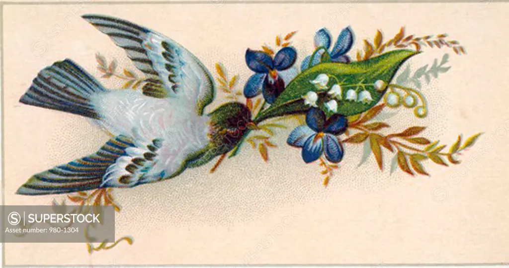 Bird with Flowers, Nostalgia Cards