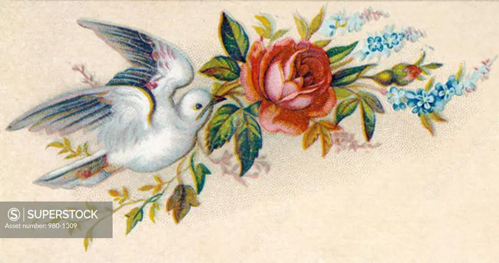 Bird with Rose, Nostalgia Cards