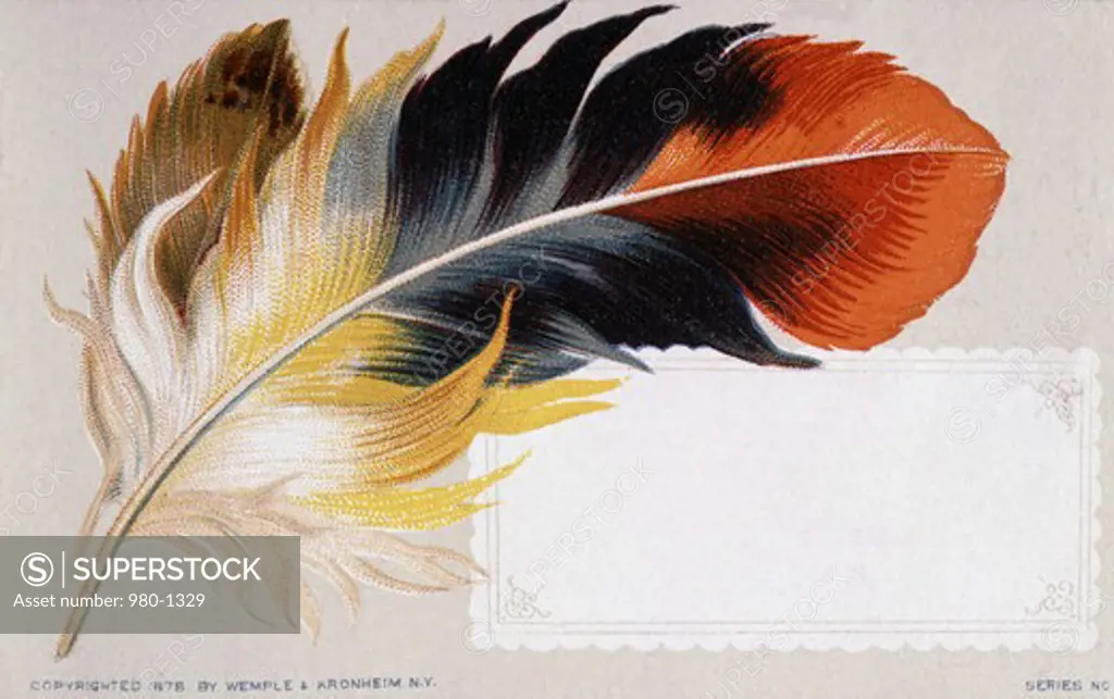 Feather Nostalgia Cards