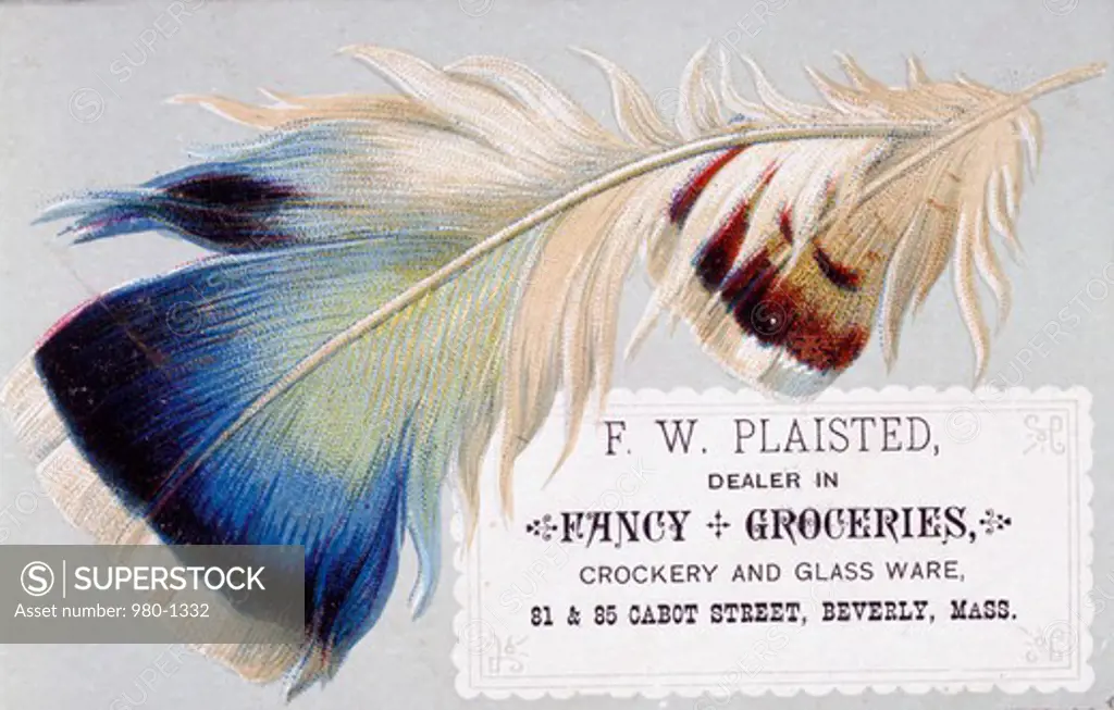 F.W. Plaisted. Dealer in Fancy and Groceries, Crockery and Glass Ware, Nostalgia Cards