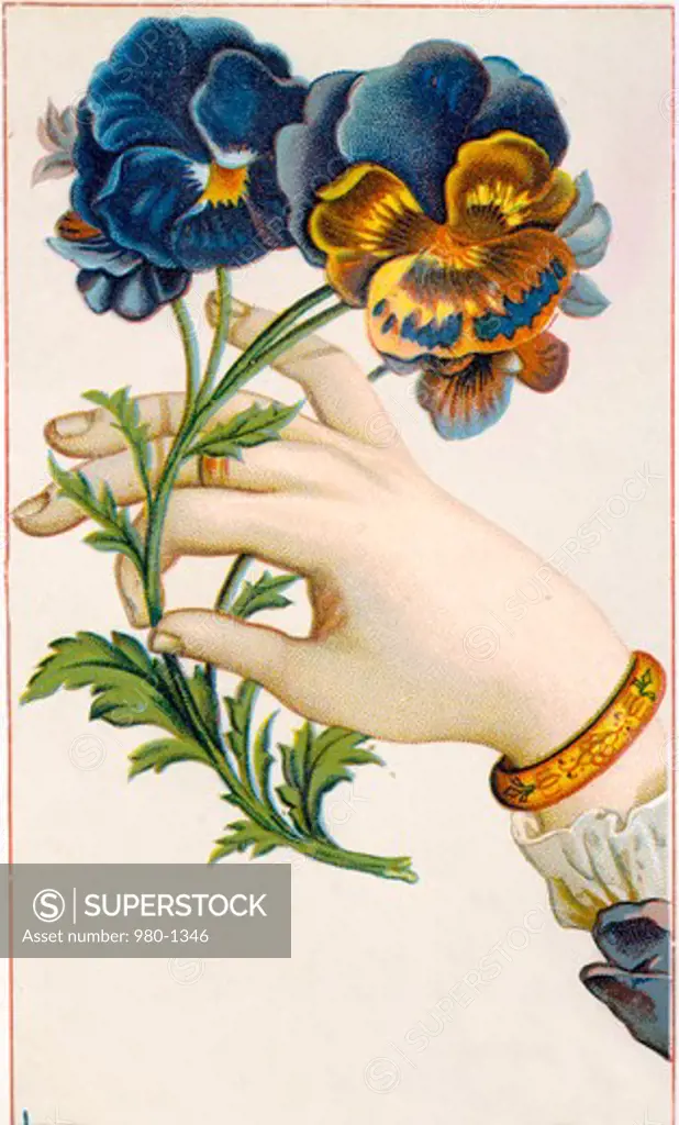 Hand with Flowers, Nostalgia Cards