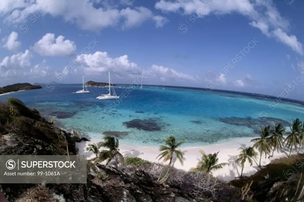 Tobago CaysGrenadine IslandsCaribbean